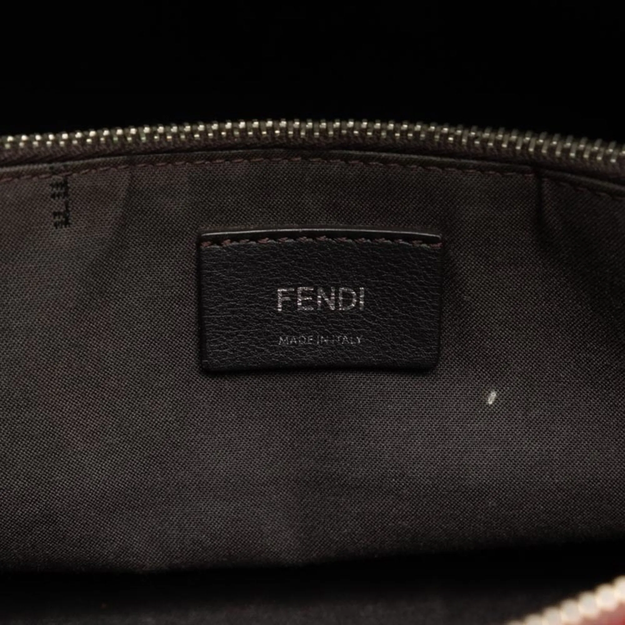 Fendi Chameleon